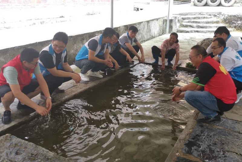 调研水质